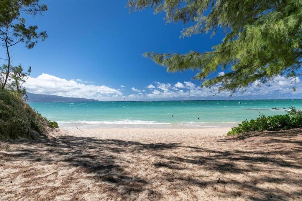 Unit 17 Maui Ohana Modern Studio Wailuku Bagian luar foto